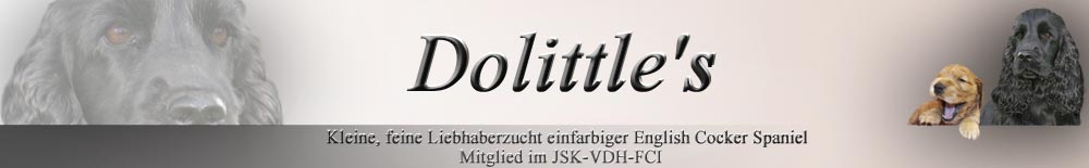 Dolittle's