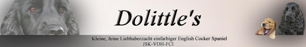 Dolittle's