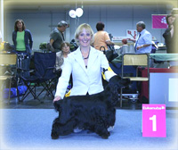 Europasieger2007 046,1