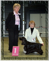a_Austellung_Leuwarden_24_03