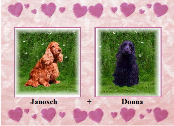 Janosch+Donna